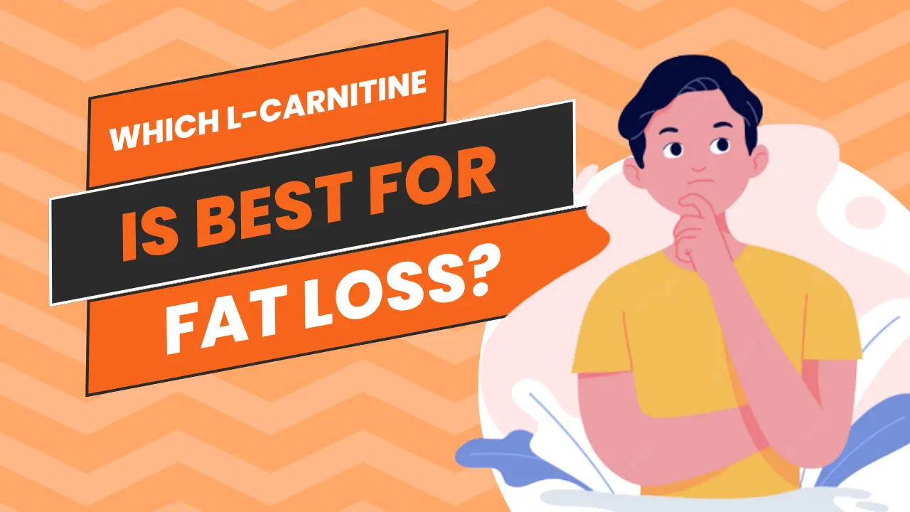 Which L-carnitine is best for fat loss