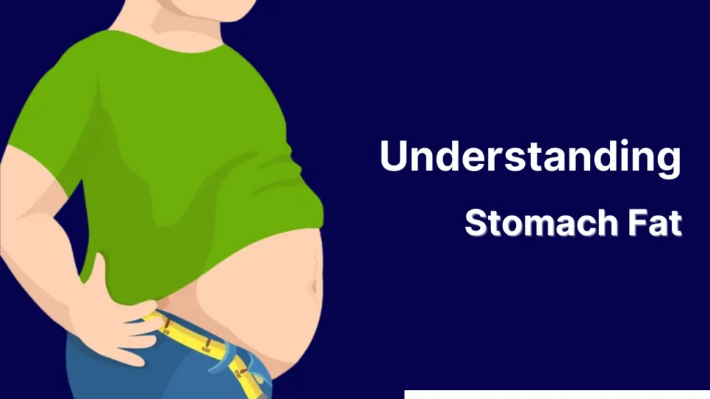 Understanding Stomach Fat