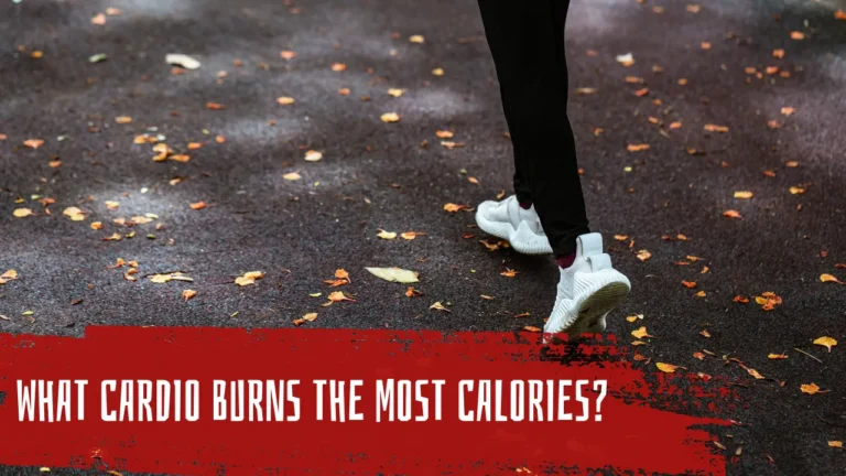 What cardio burns the most calories?