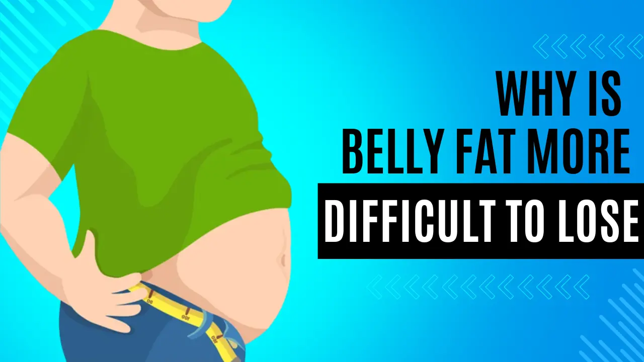 Why Is Belly Fat More Difficult to Lose