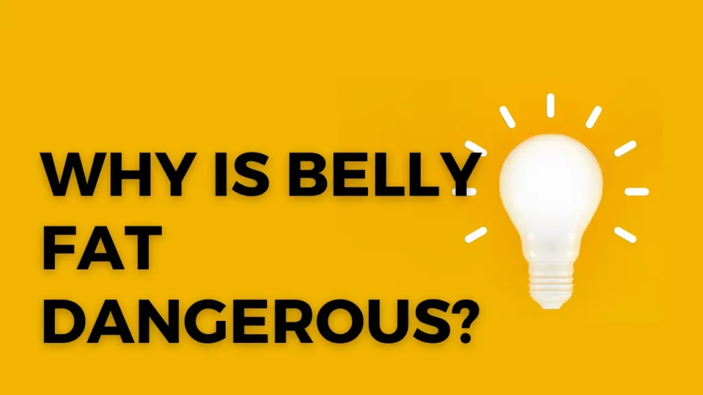 Why is belly fat dangerous?