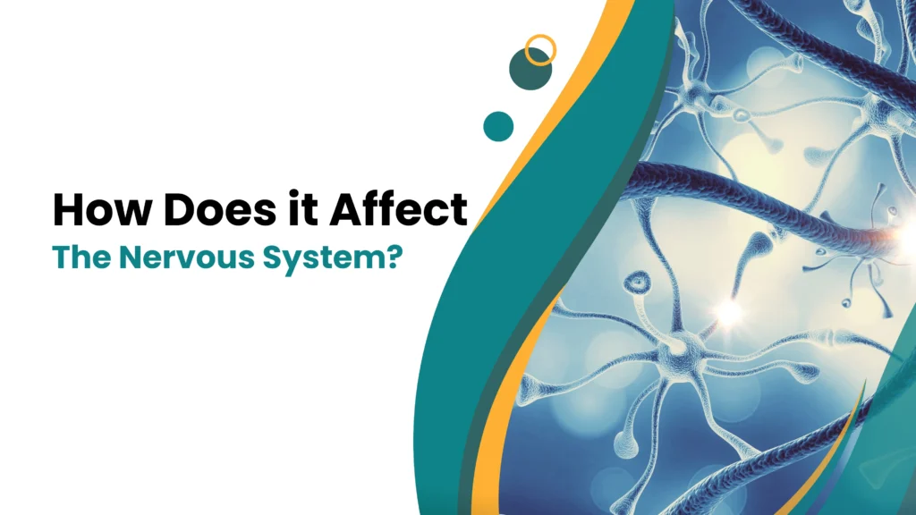 How Does Multiple Sclerosis Affect the Nervous System